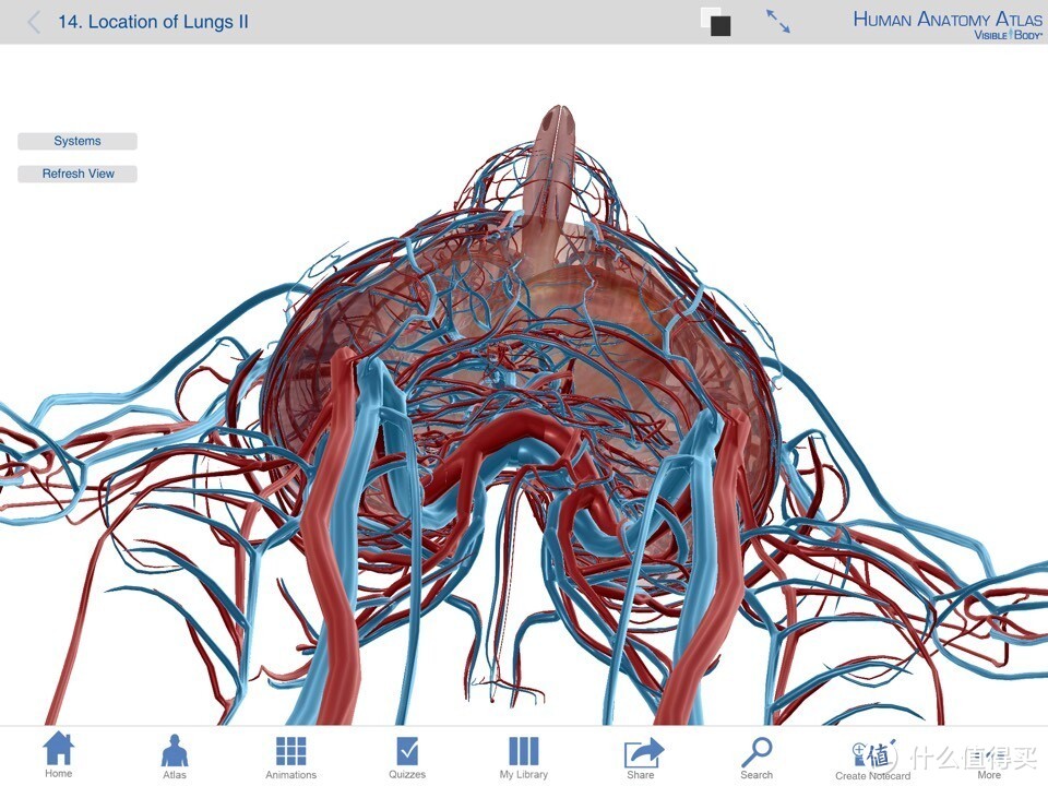 献给期末复习到晕倒的医学生：关于人体解剖系统学习神器 — Human Anatomy Atlas-3D