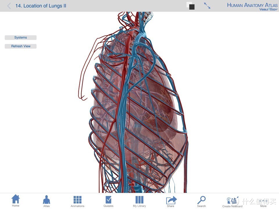 献给期末复习到晕倒的医学生：关于人体解剖系统学习神器 — Human Anatomy Atlas-3D