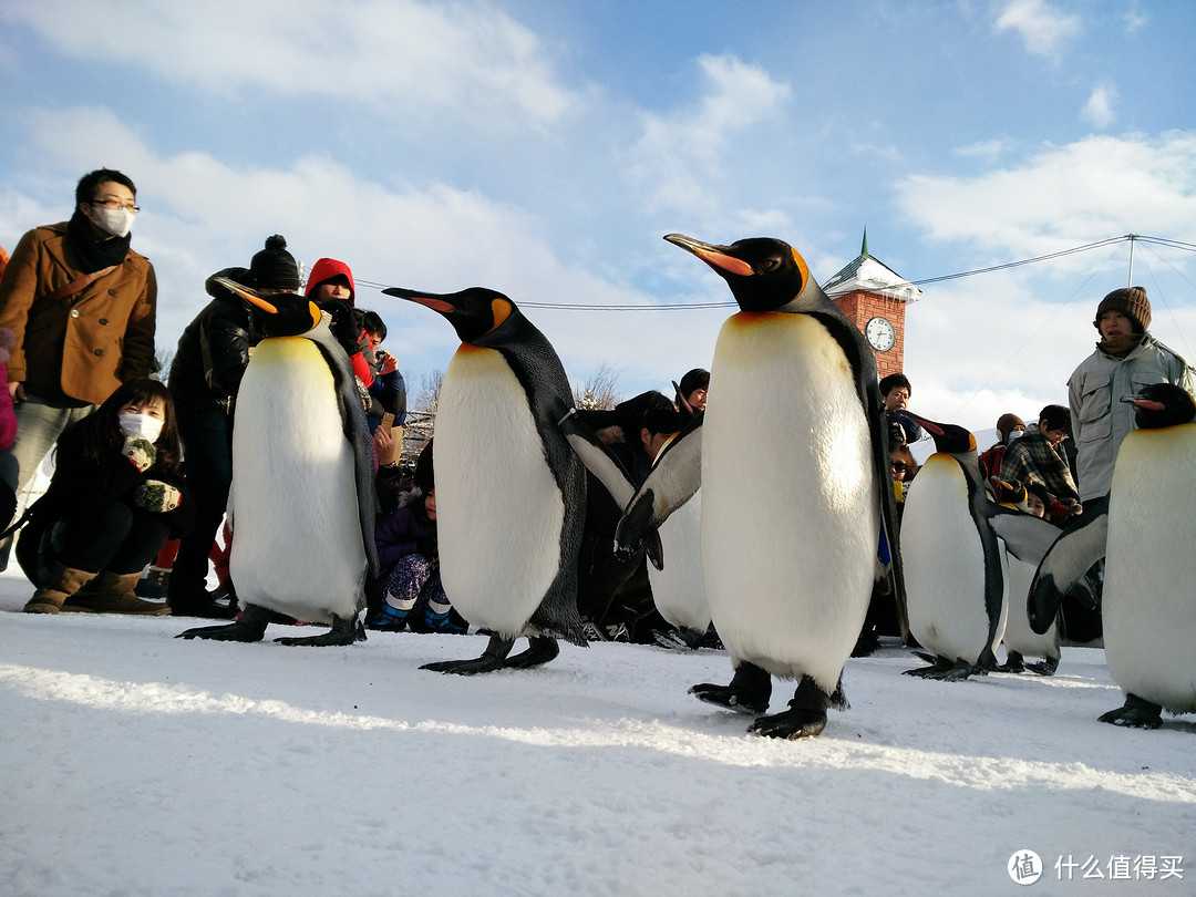 温泉乡の旅：vivo X5max 拍照功能晒单