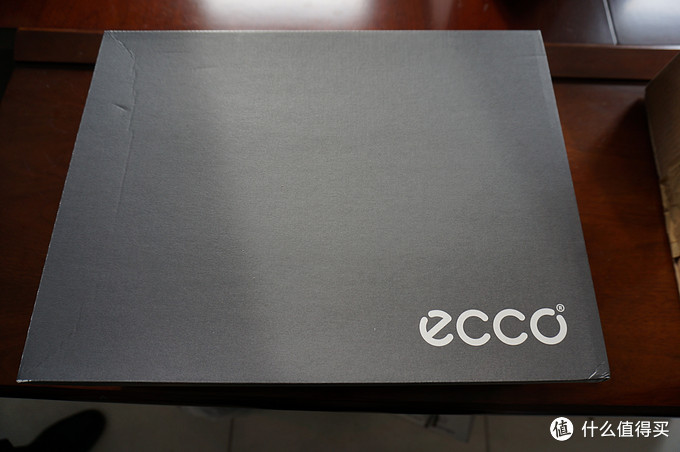 海淘第一单:ecco 爱步 Darren GTX 男士雪地靴