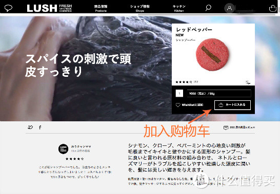 LUSH日本官网下单攻略：注册、购买、支付
