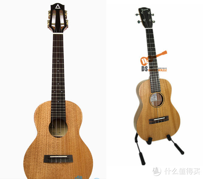 从零开始的 Ukulele 尤克里里之路