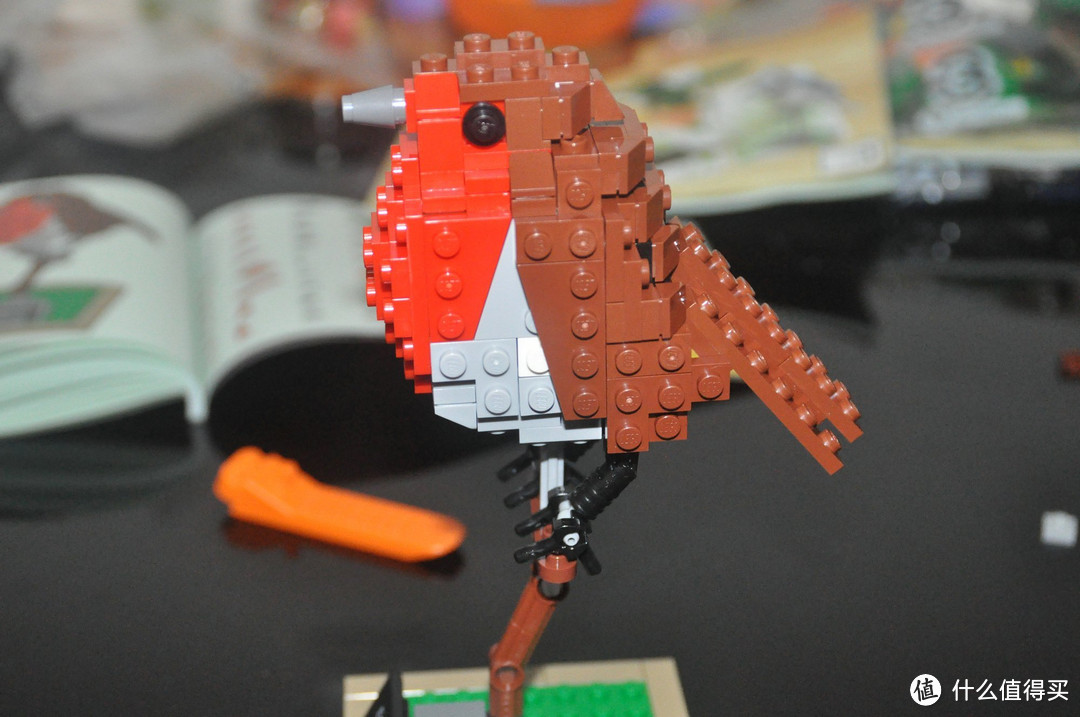 【ebay好物分享会】LEGO ideas 21301 birds 鸟类图鉴