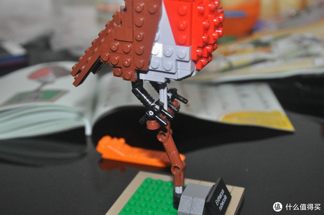 【ebay好物分享会】LEGO ideas 21301 birds 鸟类图鉴