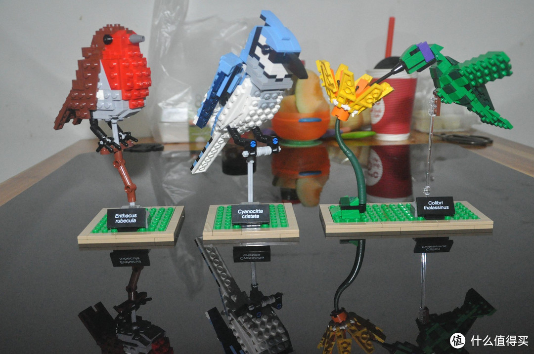 【ebay好物分享会】LEGO ideas 21301 birds 鸟类图鉴