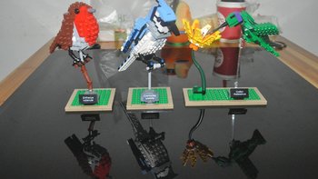 【ebay好物分享会】LEGO ideas 21301 birds 鸟类图鉴 
