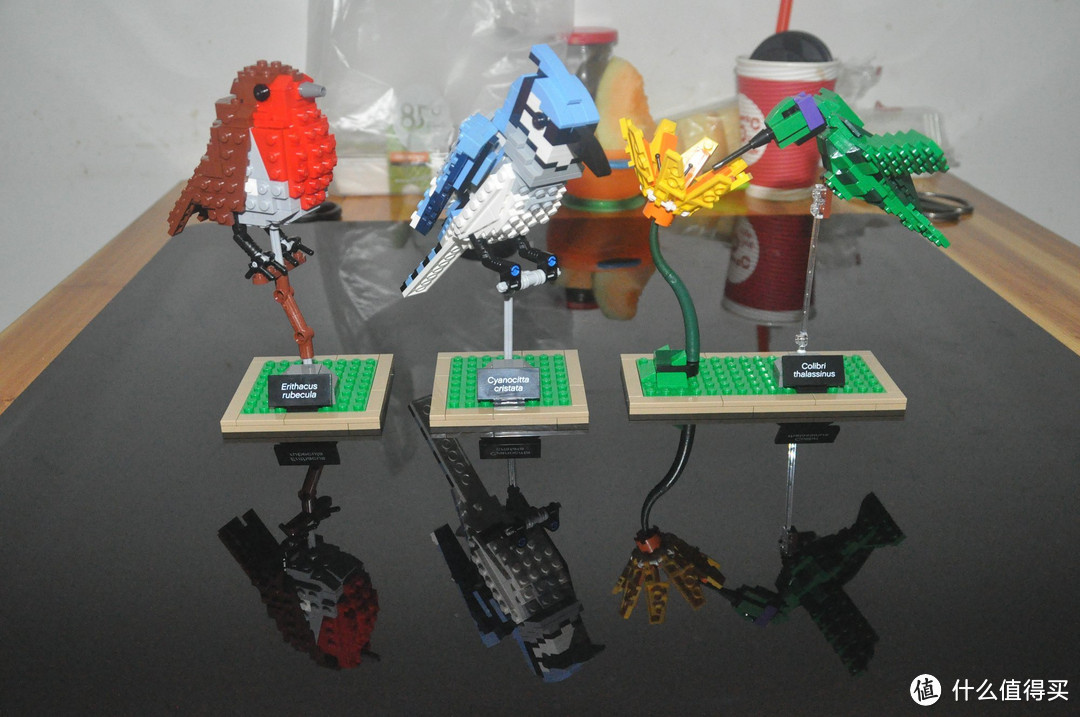 【ebay好物分享会】LEGO ideas 21301 birds 鸟类图鉴