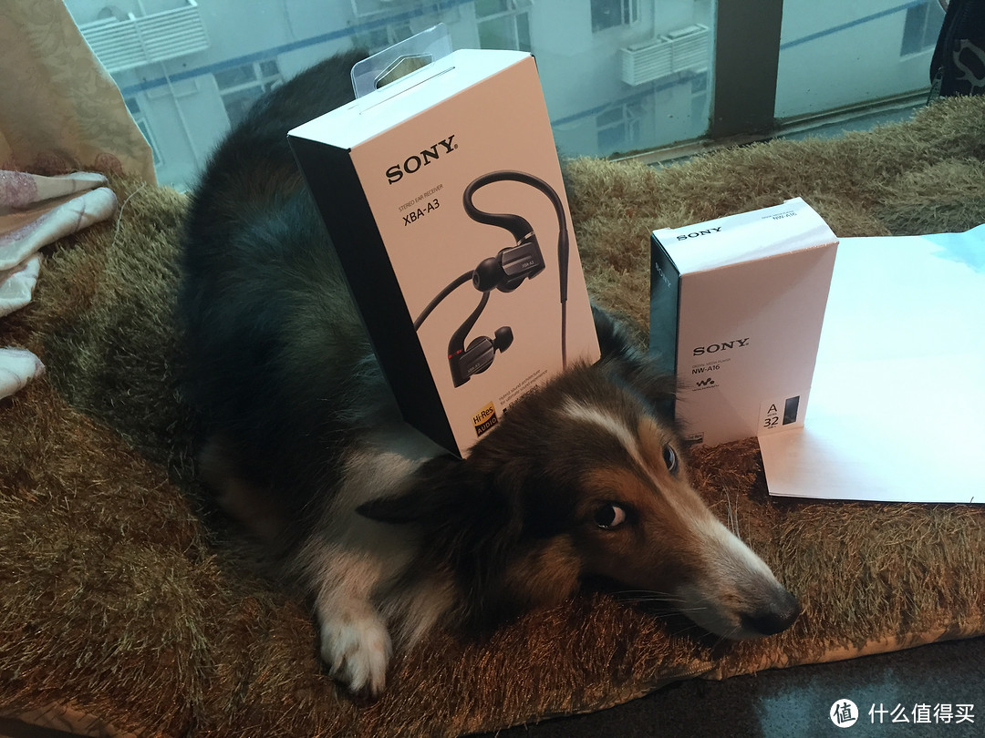 索尼大法好：日淘 SONY XBA-A3 耳机和NW-A16播放器