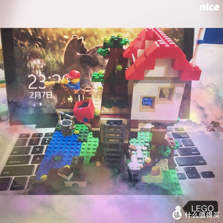 妹子送的生日礼物LEGO 乐高 CREATOR 系列树屋 31010