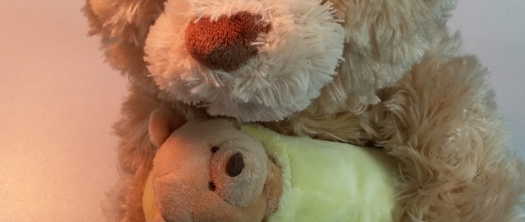 泰迪熊系列篇一 摇头晃脑唱英文 最后一吻倾母爱 唱歌的泰迪熊妈和熊宝 Rock A Bye Baby Musical Teddy Bear 娃娃玩具 什么值得买