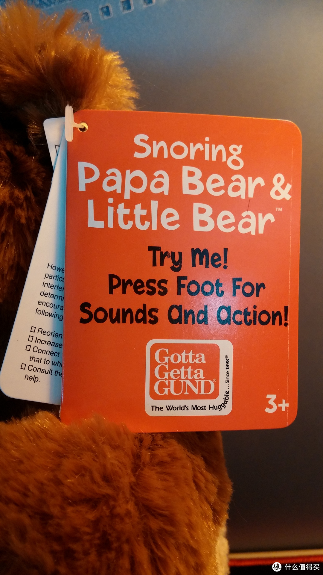 打鼾的泰迪熊爸和熊宝（Snoring Papa Bear and Little Bear）