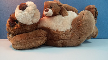 泰迪熊系列 篇二：打鼾的泰迪熊爸和熊宝（Snoring Papa Bear and Little Bear）