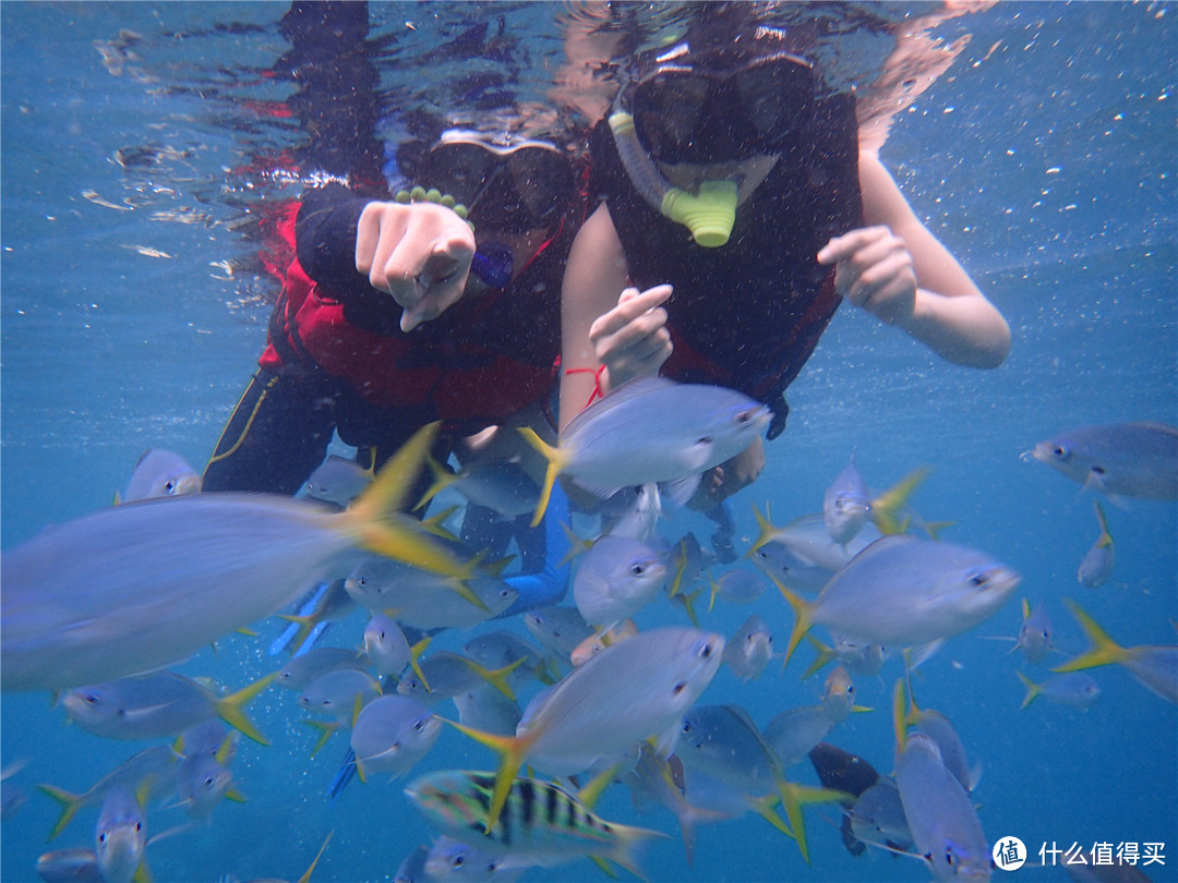 “彩虹的尽头，上帝的水族箱”：Palau 帕劳游记