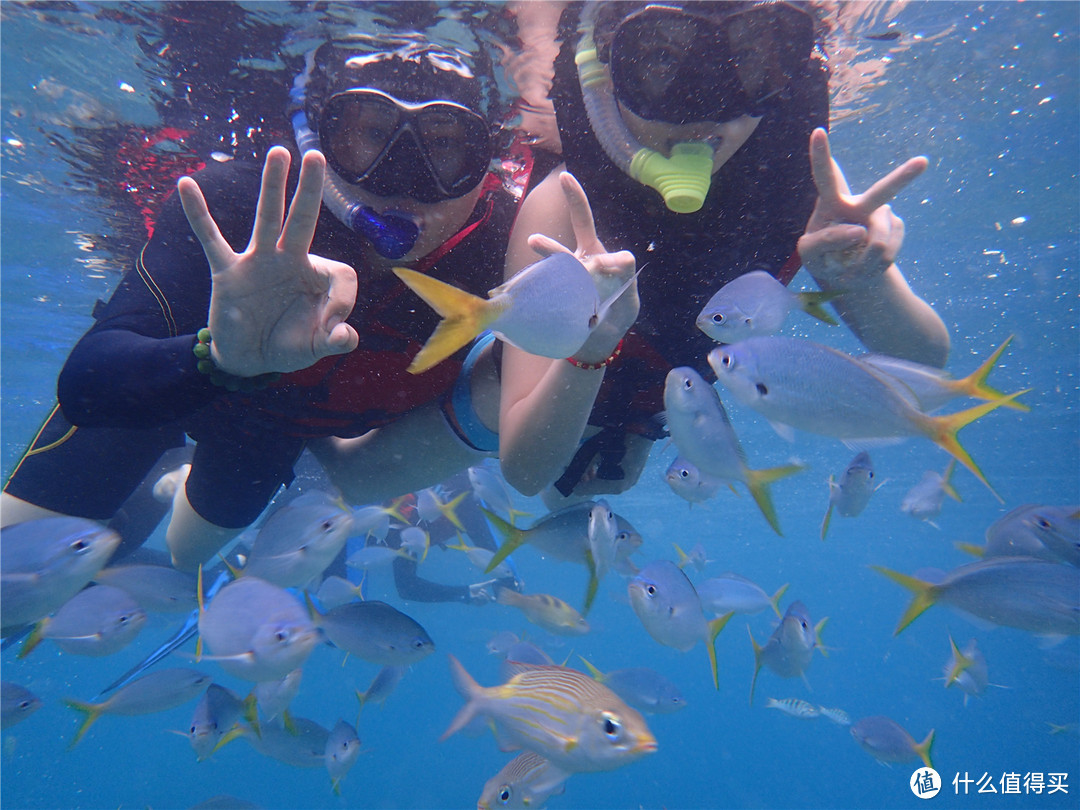 “彩虹的尽头，上帝的水族箱”：Palau 帕劳游记