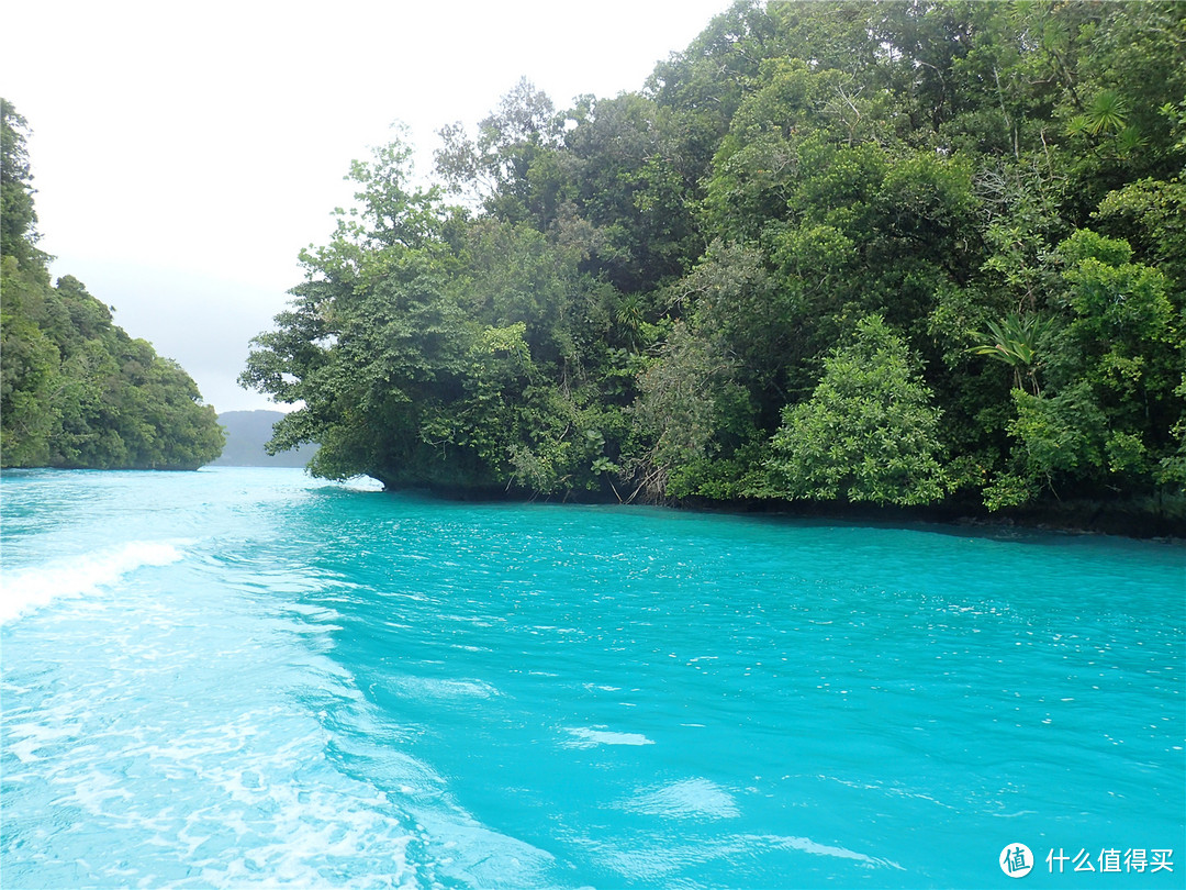 “彩虹的尽头，上帝的水族箱”：Palau 帕劳游记