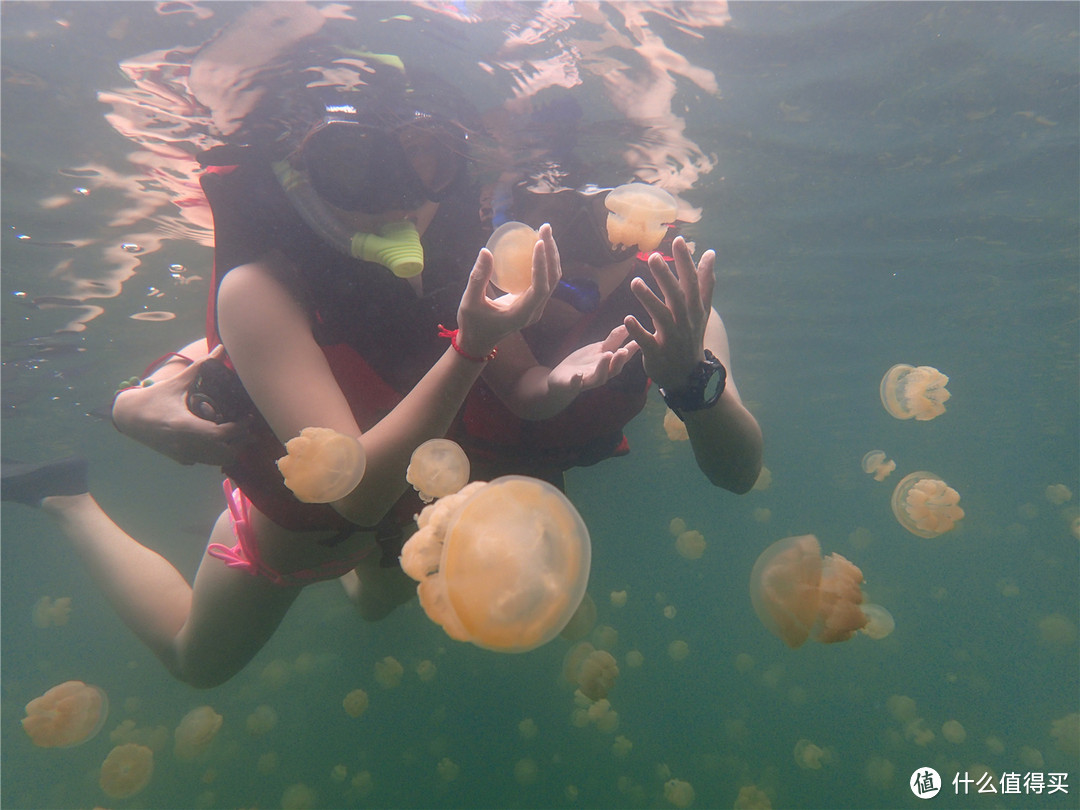 “彩虹的尽头，上帝的水族箱”：Palau 帕劳游记