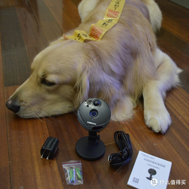 看样子不错 --狗娃开启与IQ 智能网络摄像头的新生活