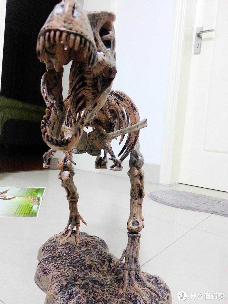 海淘 Elenco Science Tech T-Rex Skeleton 36 恐龙骨架模型