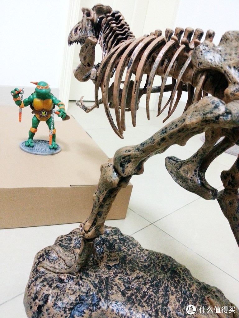 海淘 Elenco Science Tech T-Rex Skeleton 36 恐龙骨架模型
