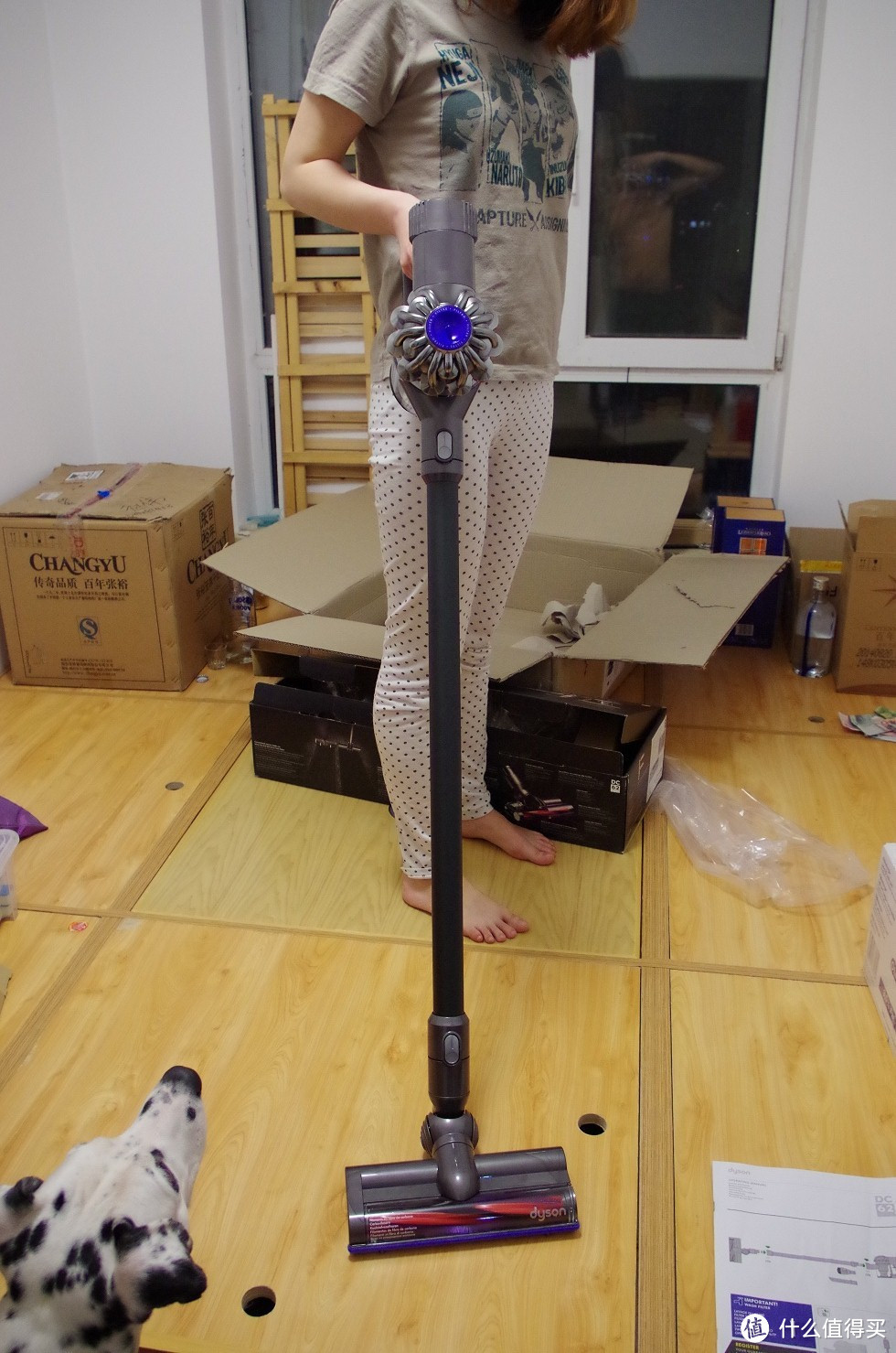 中毒dyson 戴森 DC62 吸尘器 — 首次尝试德国亚马逊，经验分享