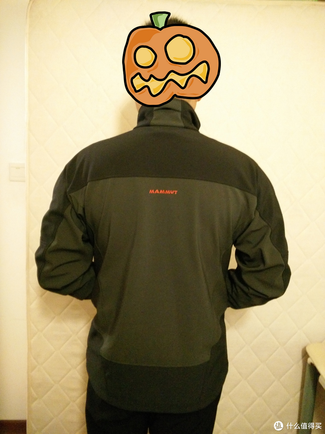 “鸟象之争” Mammut 猛犸象 Plano Softshell Jacket