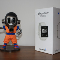 佳明 Vivoactive 智能运动手表外观展示(屏幕|按键|表盘|表带|充电座)