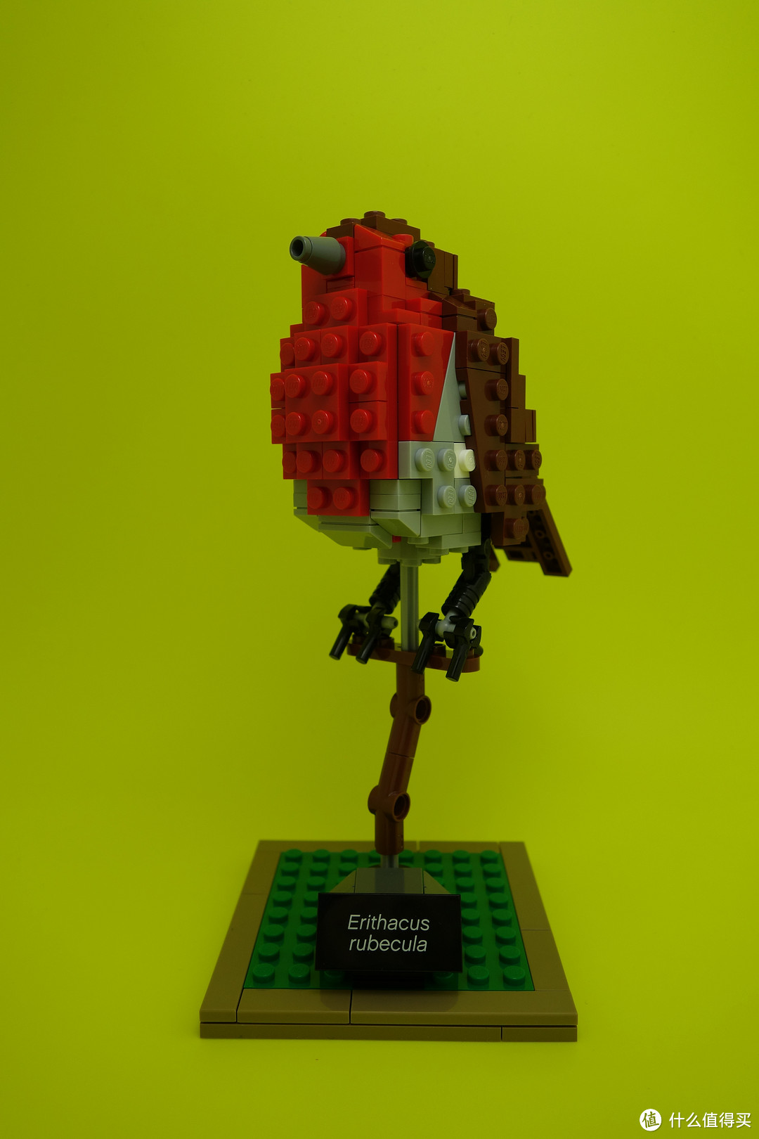 最美乐高？LEGO 乐高 Ideas 21301 Birds Model Kit 鸟类模型 