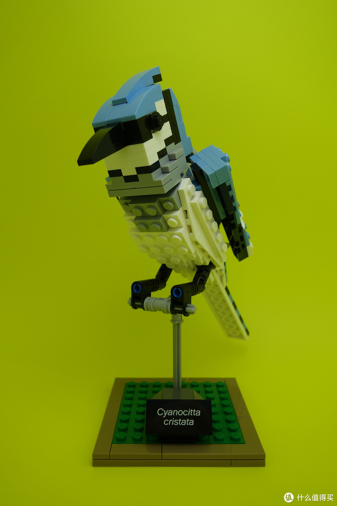 最美乐高？LEGO 乐高 Ideas 21301 Birds Model Kit 鸟类模型 