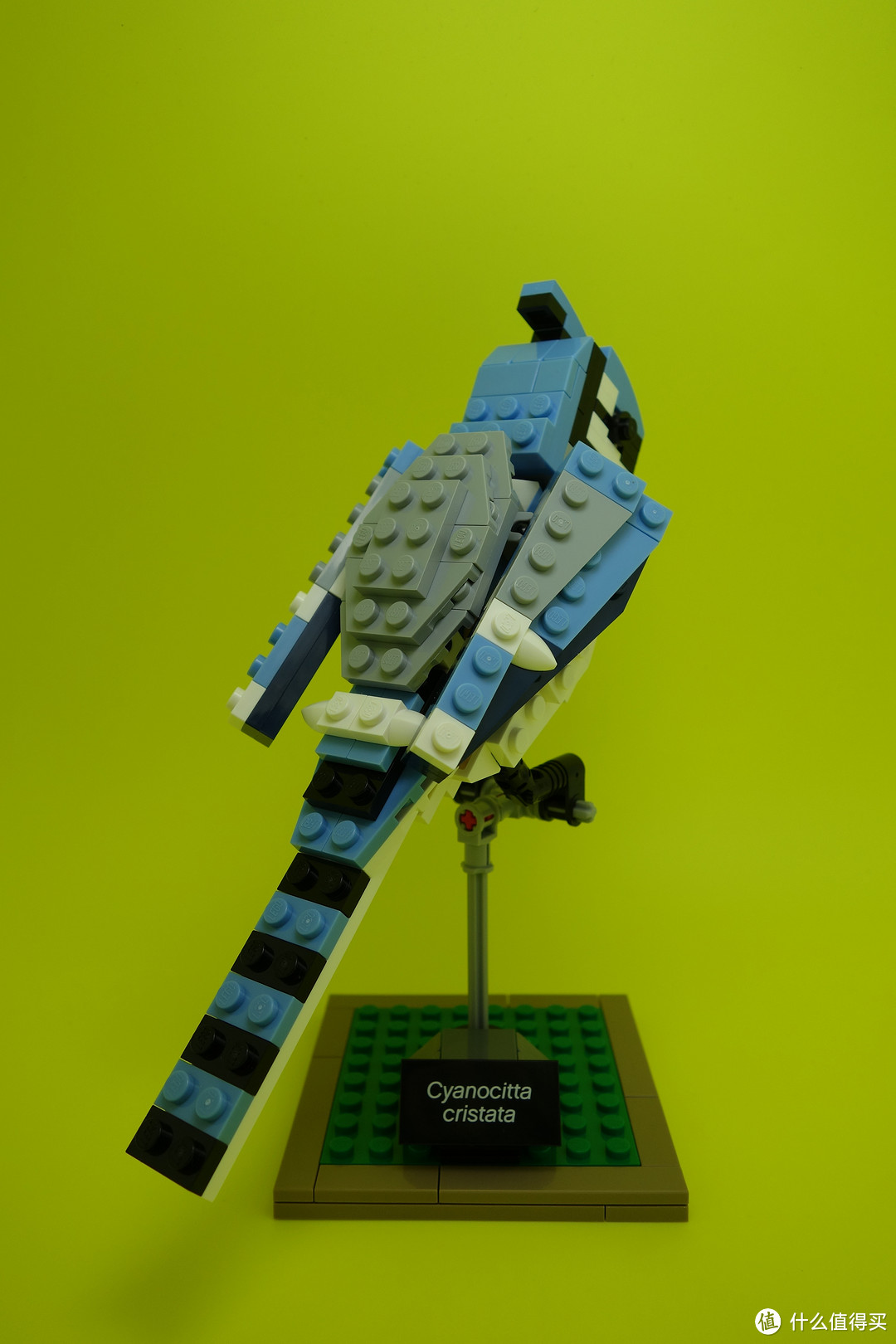 最美乐高？LEGO 乐高 Ideas 21301 Birds Model Kit 鸟类模型 