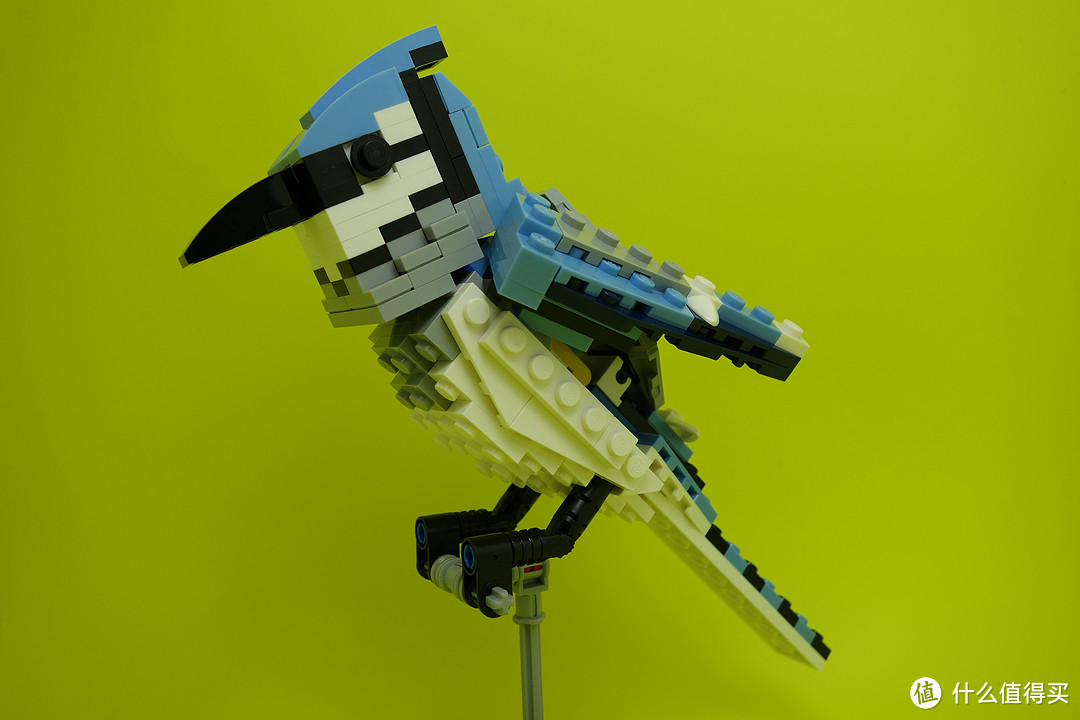 最美乐高？LEGO 乐高 Ideas 21301 Birds Model Kit 鸟类模型 