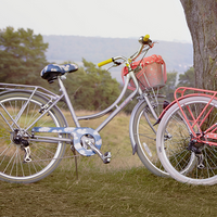 这回可以坐在单车上笑了：Cath Kidston携手KINGSTON BICYCLES推出田园风脚踏车