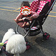 公主的座驾：GRACO 葛莱 城市轻盈系列 婴儿手推车
