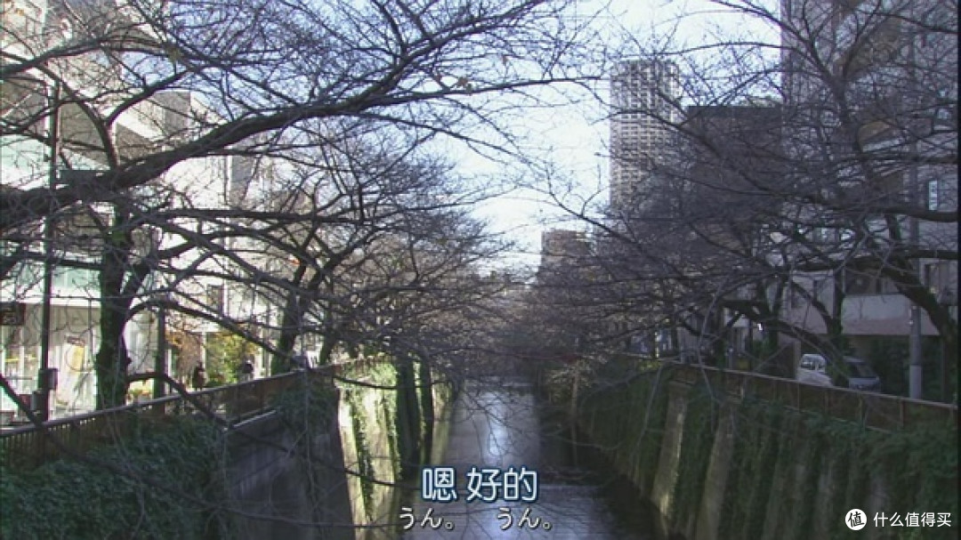 所有梦想都实现