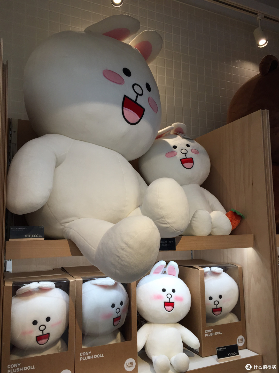 所有梦想都实现