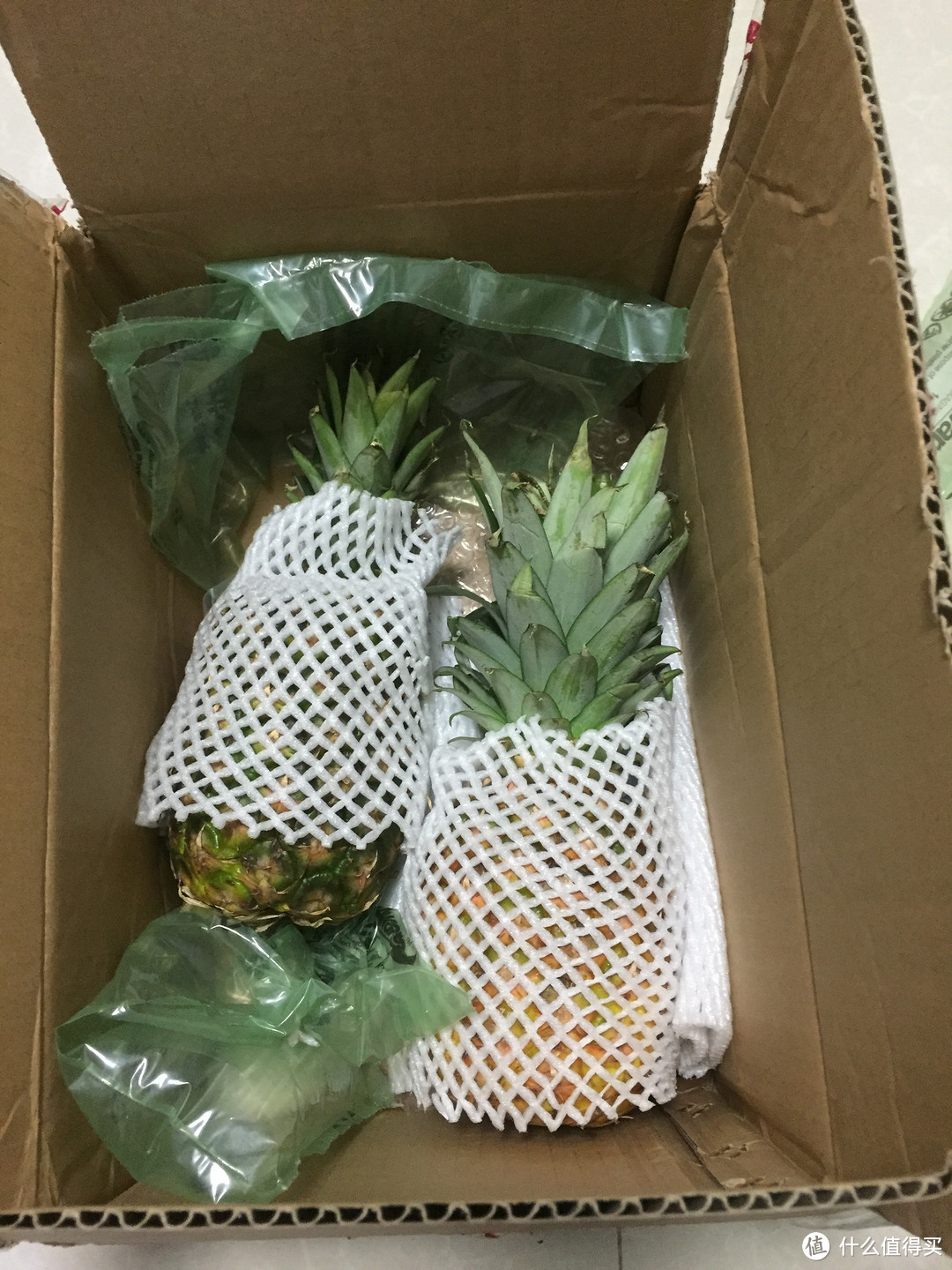 沱沱工社首单试水：菲律宾进口菠萝