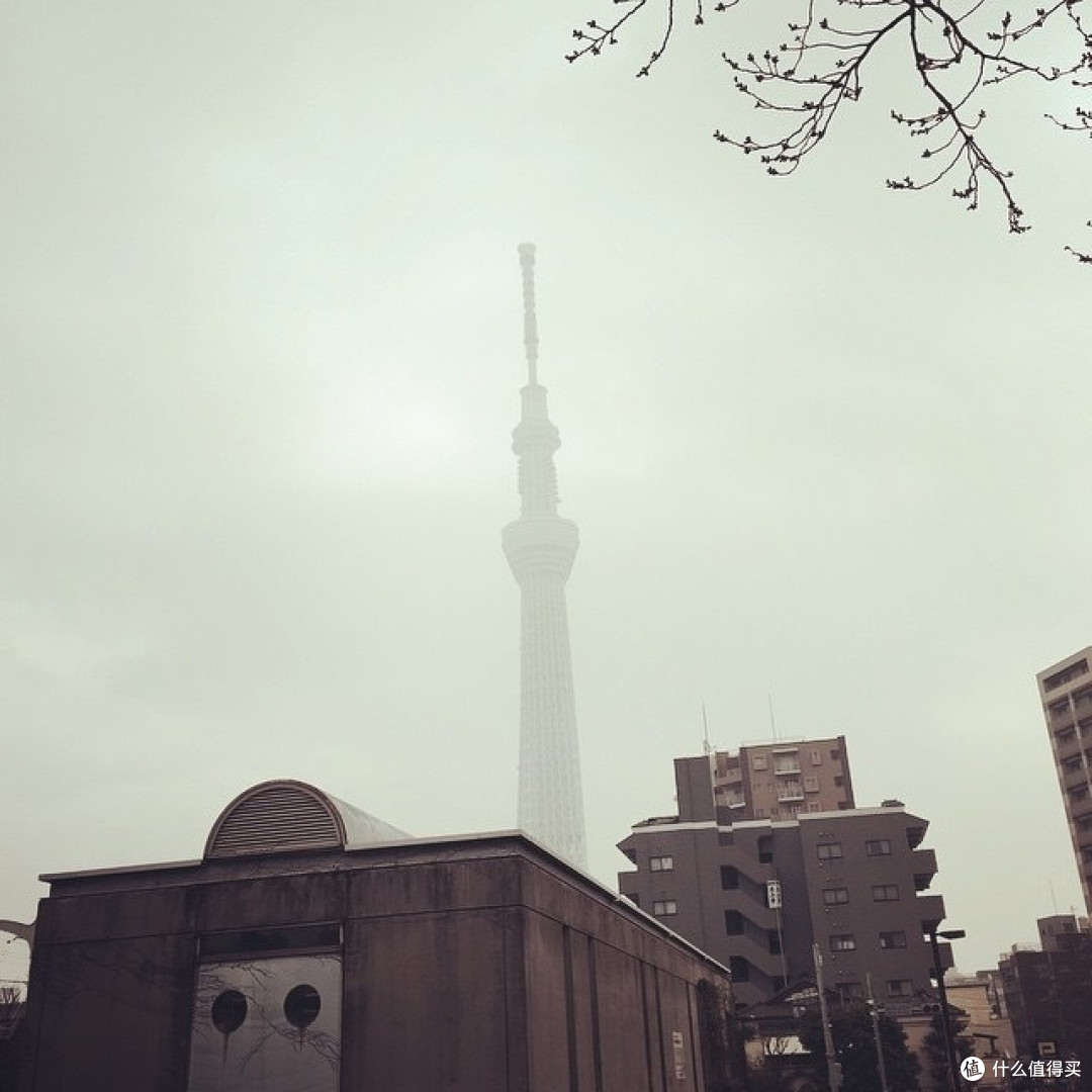 所有梦想都实现