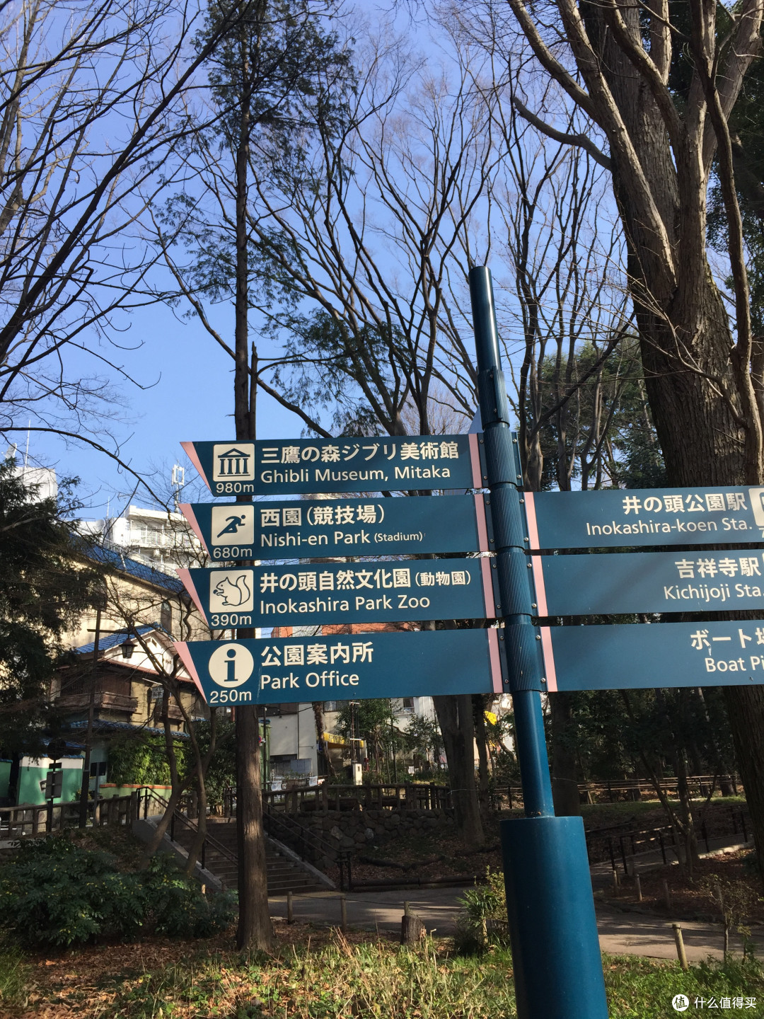 所有梦想都实现