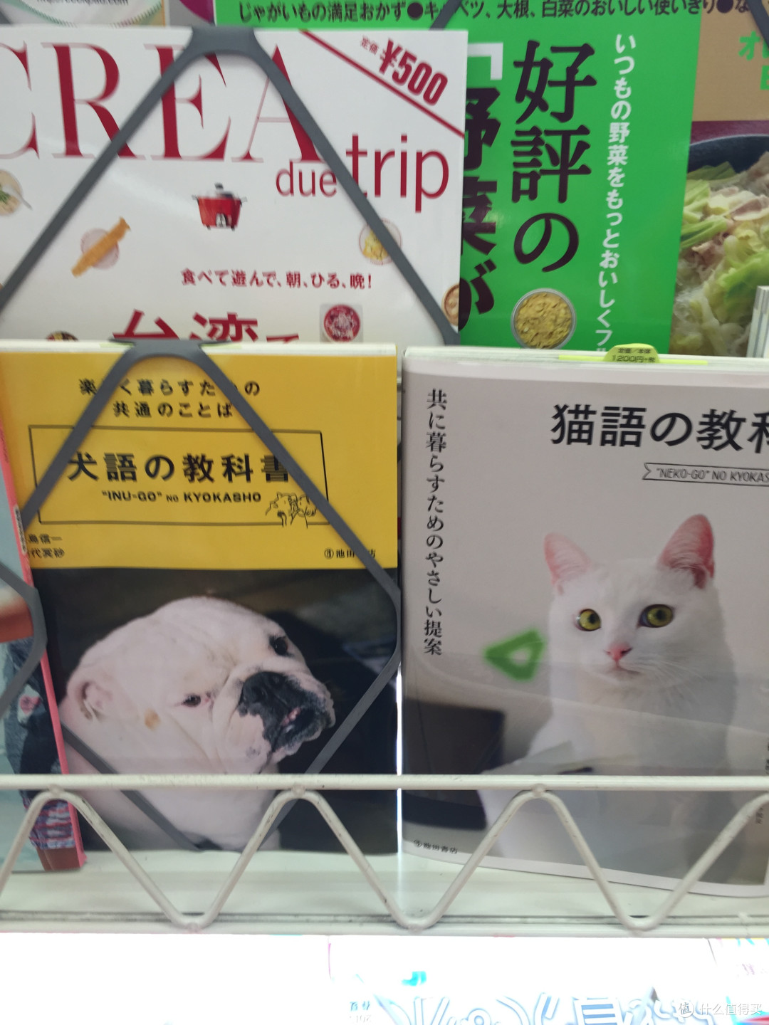 所有梦想都实现
