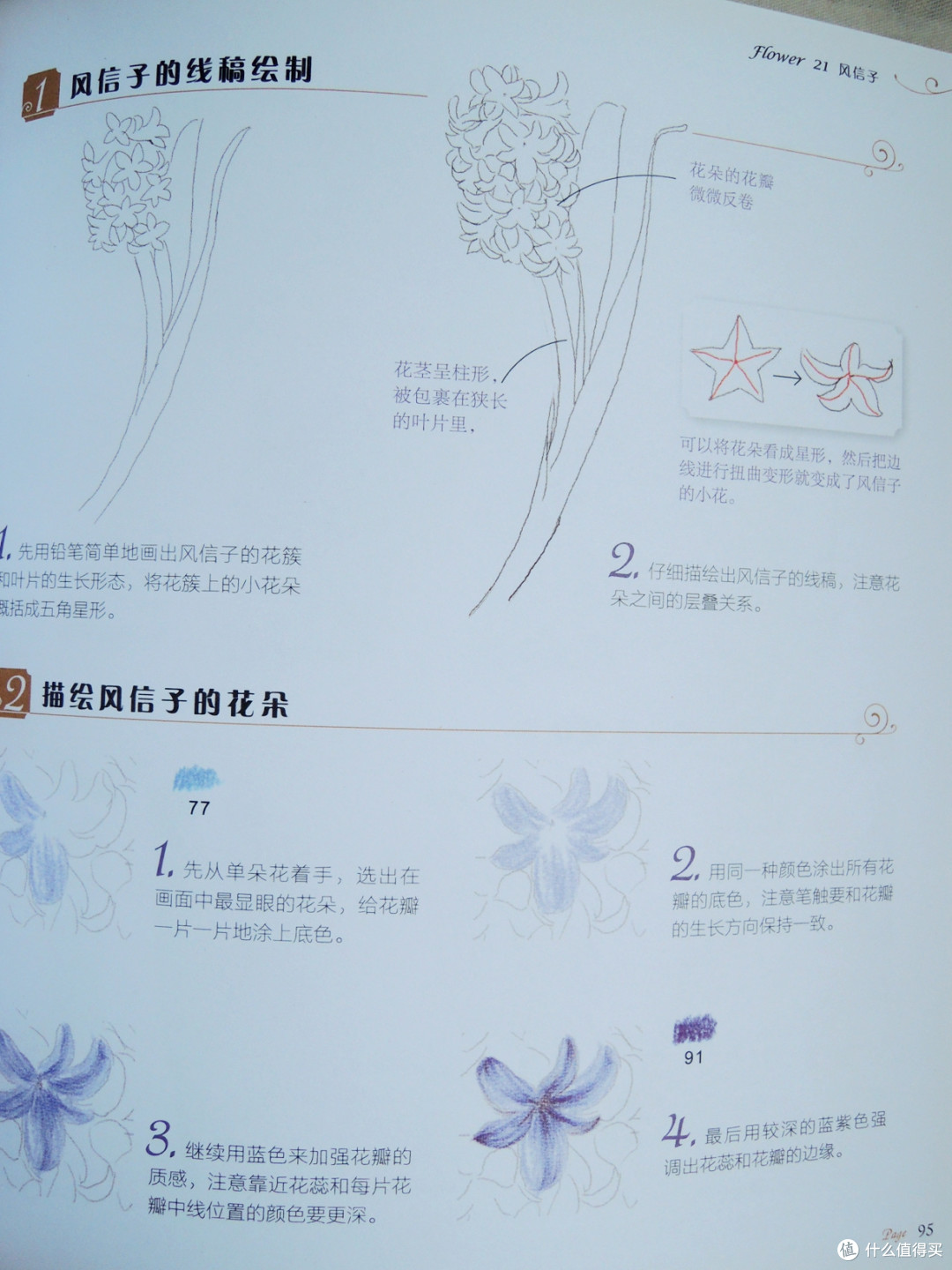 用心,就能画出来:飞乐鸟《花之绘•38种花的色铅笔图绘》