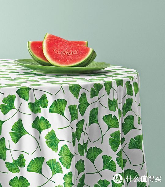绿色纯植物餐具:TORY BURCH x Dodie Thayer 圆生菜系列餐具开售