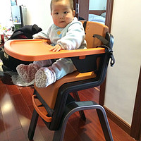 Nuna Zaac 婴儿餐椅入手体验附多种餐椅优劣对比分析