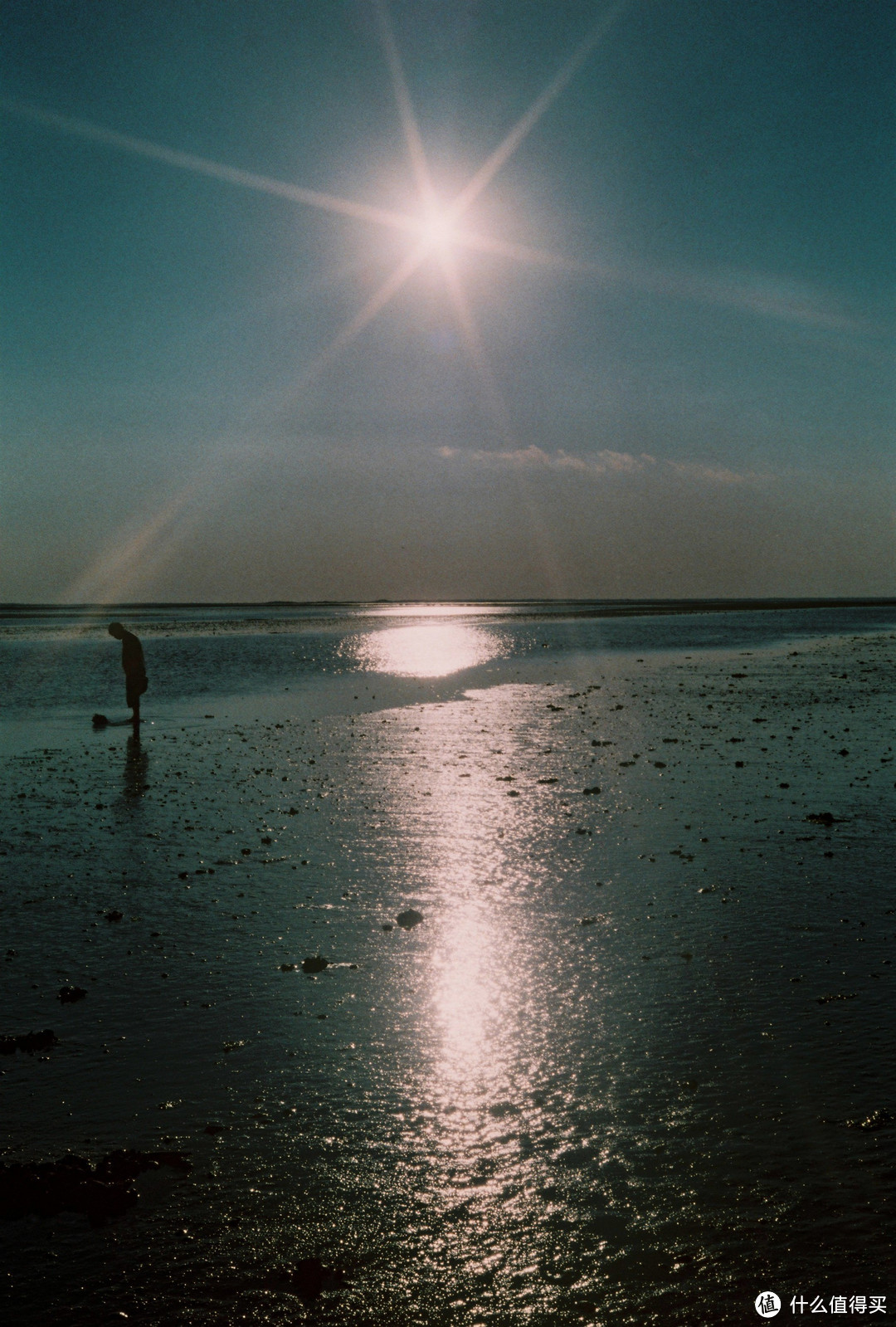 因为一部动漫，爱上一台相机：记录我的 Rollei 禄来 35s