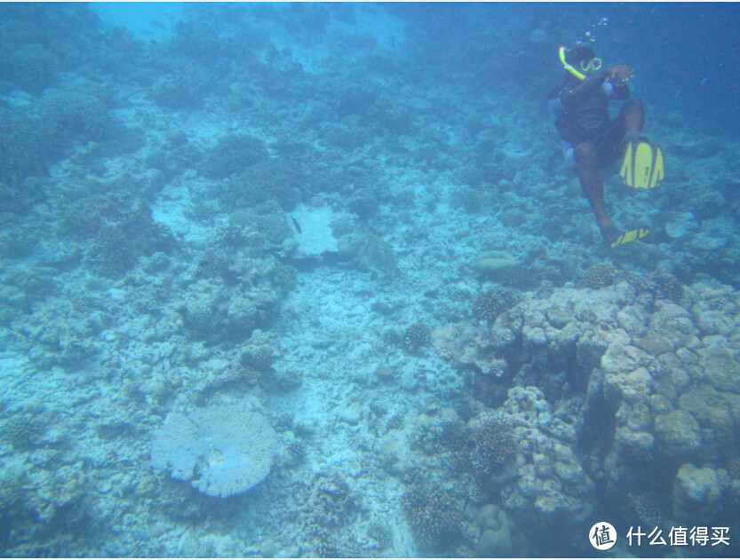 马尔代夫神仙珊瑚岛攻略及游记 & 初级入门选岛