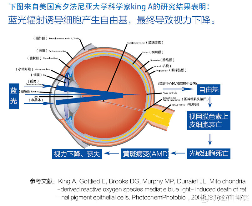 老牌新作：Philips飞利浦 40PFF5650/T3 净蓝护眼智能电视