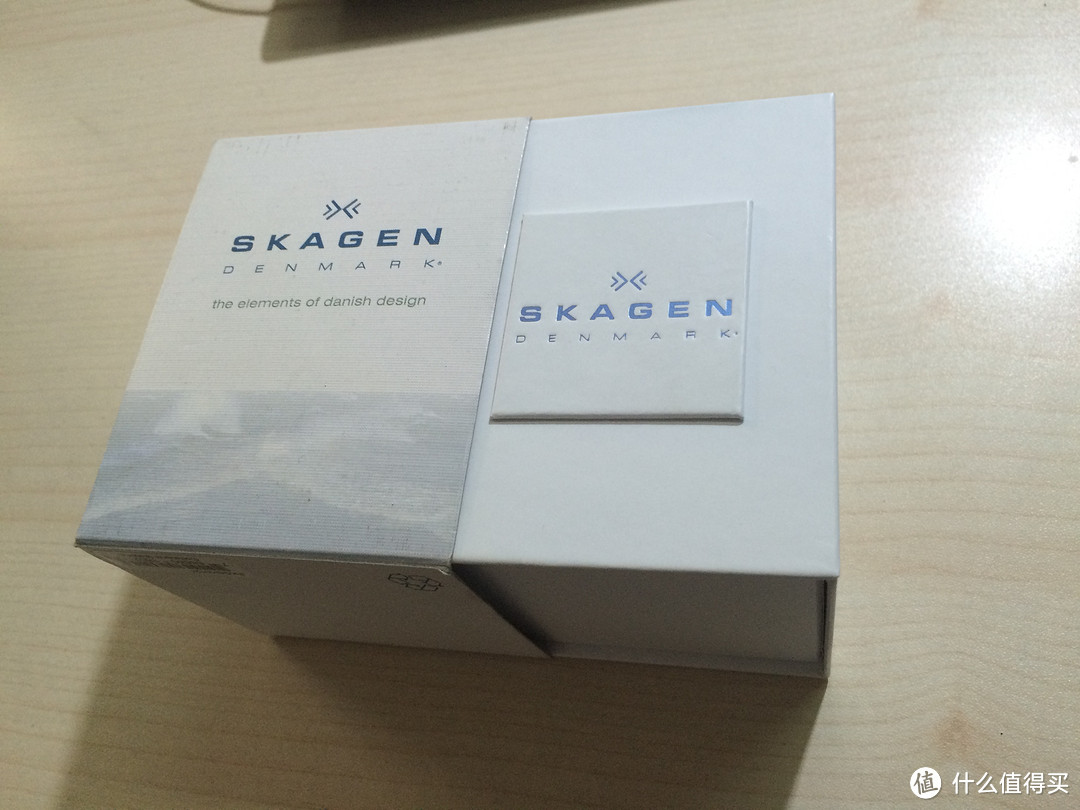 SKAGEN 诗格恩 SKW6163 时尚男表