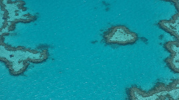 逃离雾霾，澳洲蓝天白云14天游记 篇二：惠森迪-大堡礁之心 