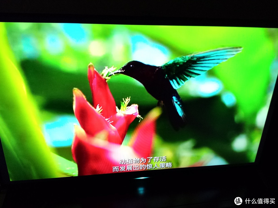 小客厅也可以上大电视：SONY 索尼 KDL-65W950B 附选购心得