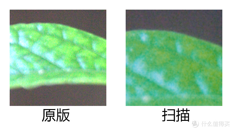 可自动剪裁照片的扫描仪：Canon 佳能 CanoScan 9000F MarkII