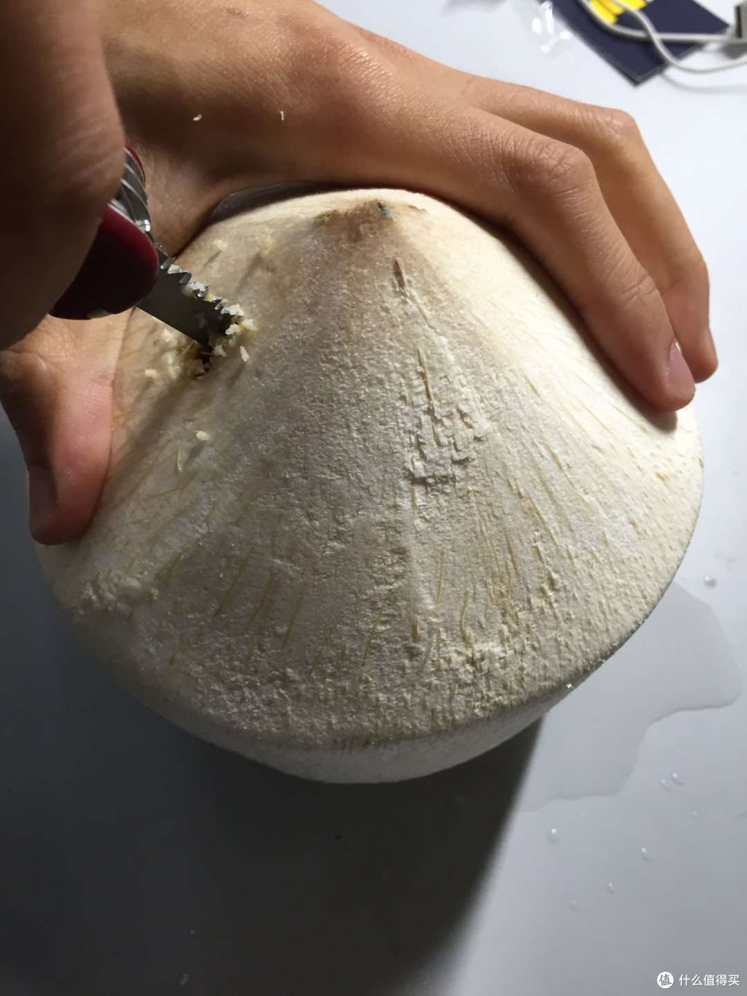9.9包顺丰的白菜大椰子