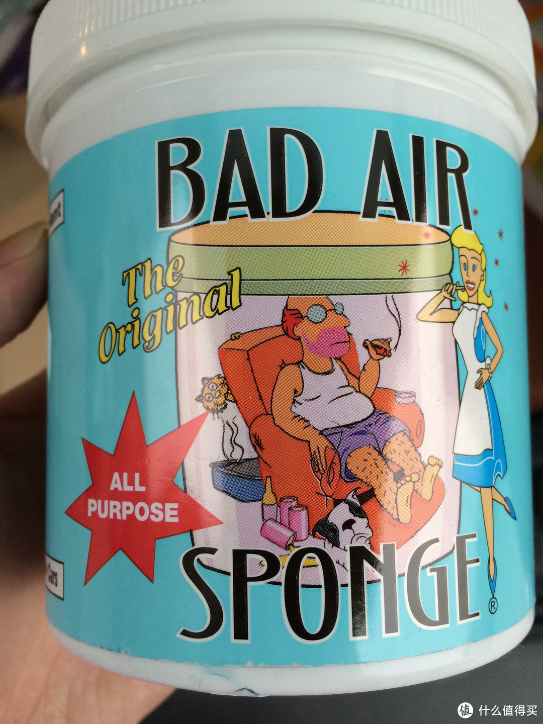 上架即刻售罄的美亚空气治理小物：Bad Air Sponge Odor Neutralizer 空气净化剂